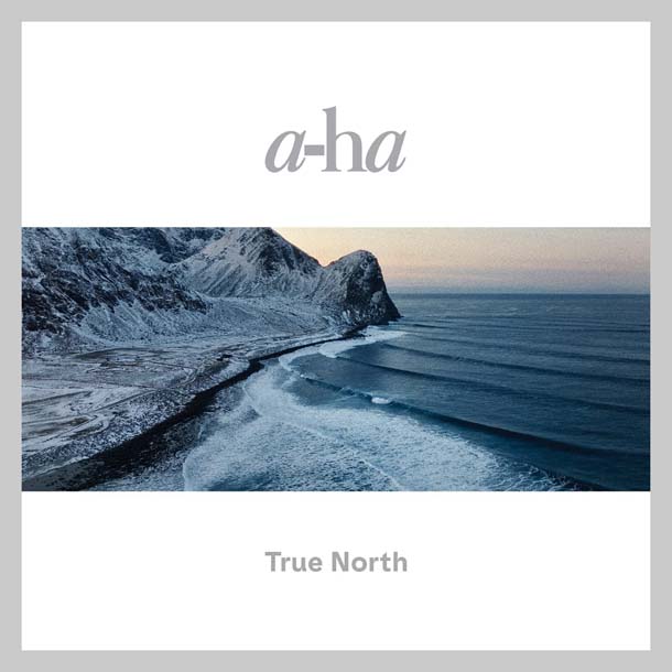 TRUE NORTH (2LP)                        